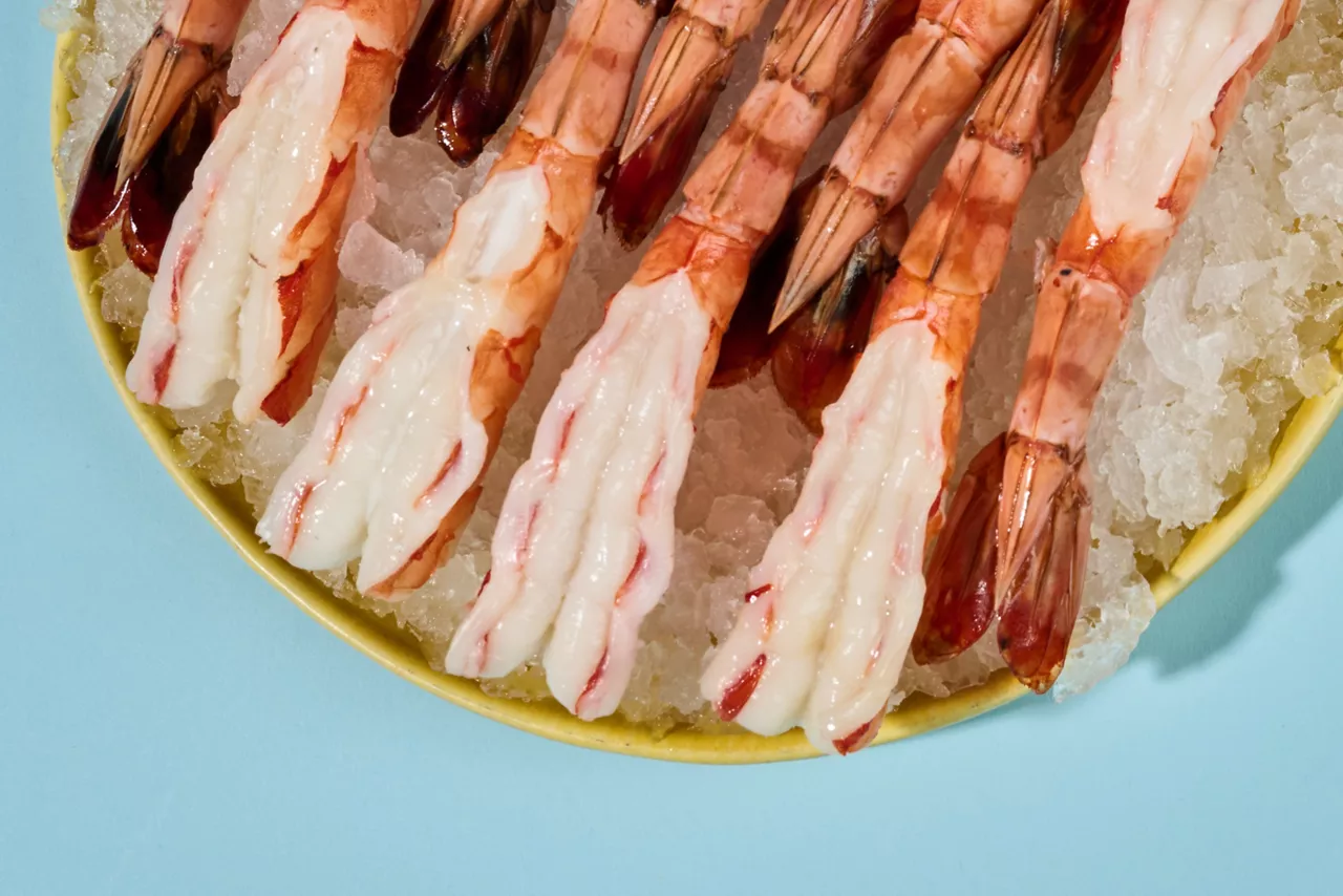 Prawn Stars